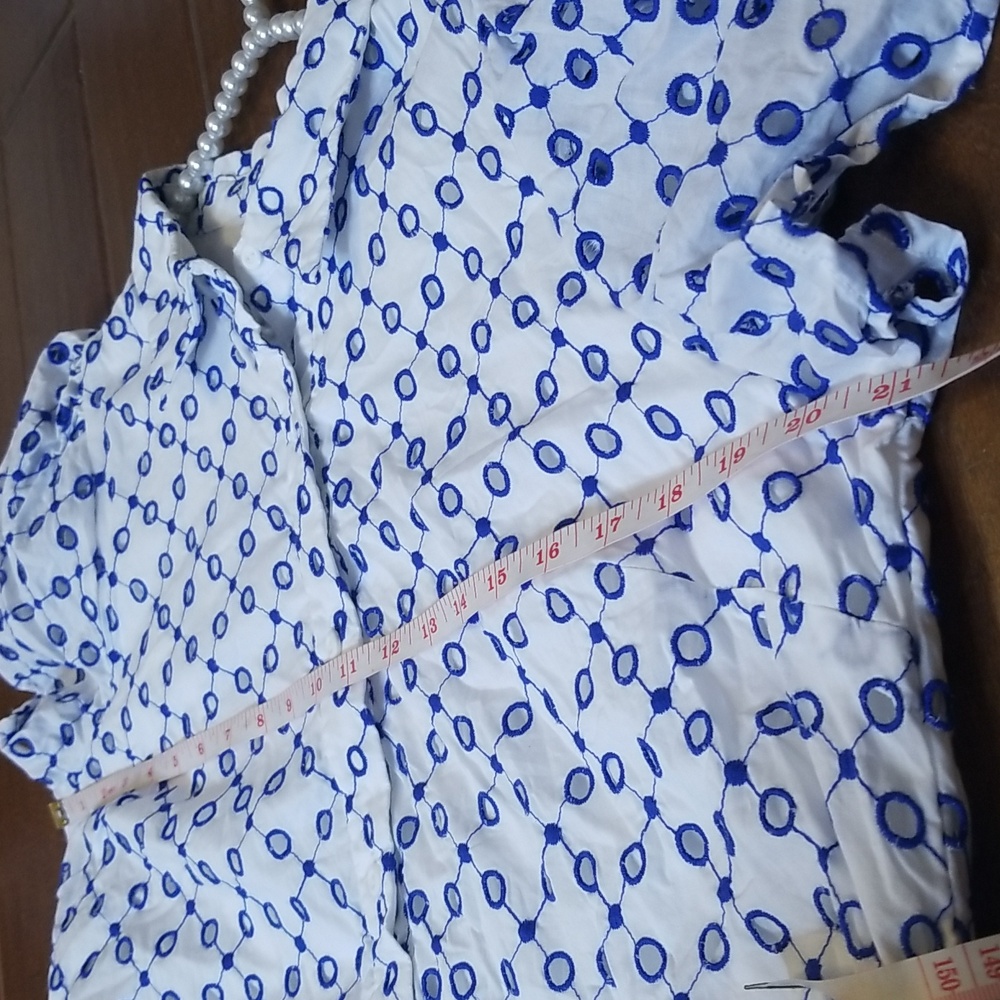 Alexis Dot Tulip Short Sleeve Blue White Embroidered Mini Dress - Picture 11 of 16